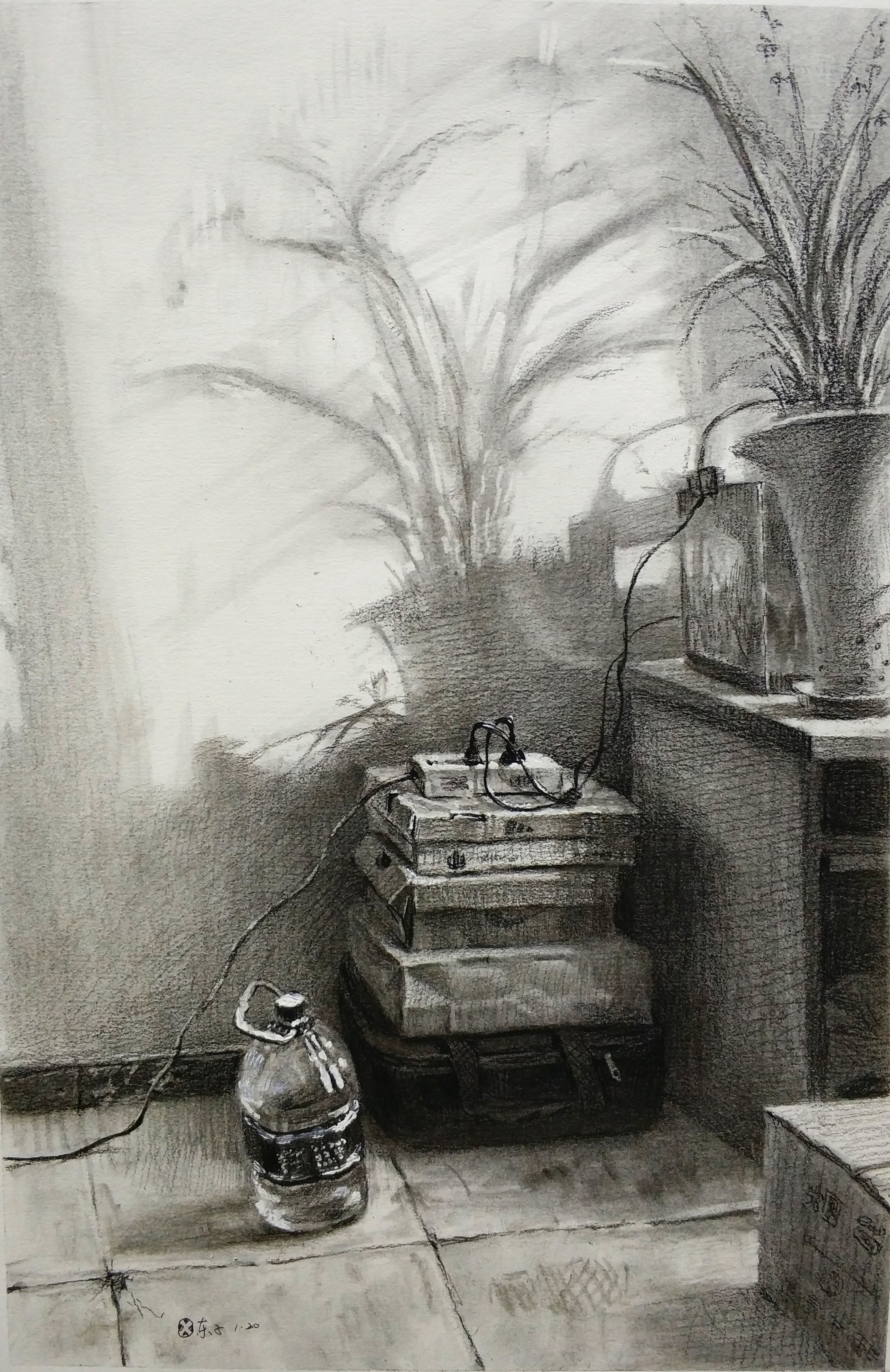 北京畫室姜曉東老師素描靜物盆栽